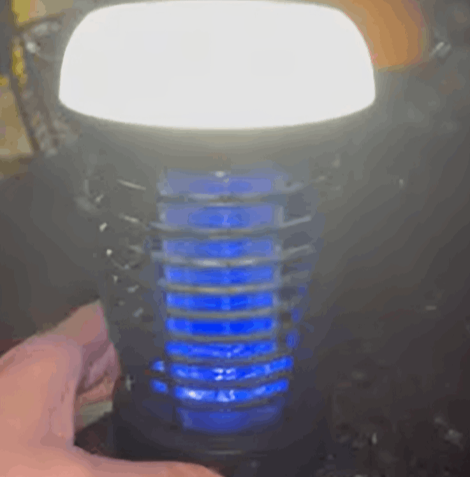 BuzzZapper Pro Customer - Lisa T. Ohio, USA